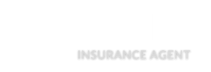 Arelis Insurance Agent